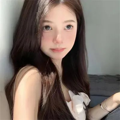 猛虎嗅蔷薇